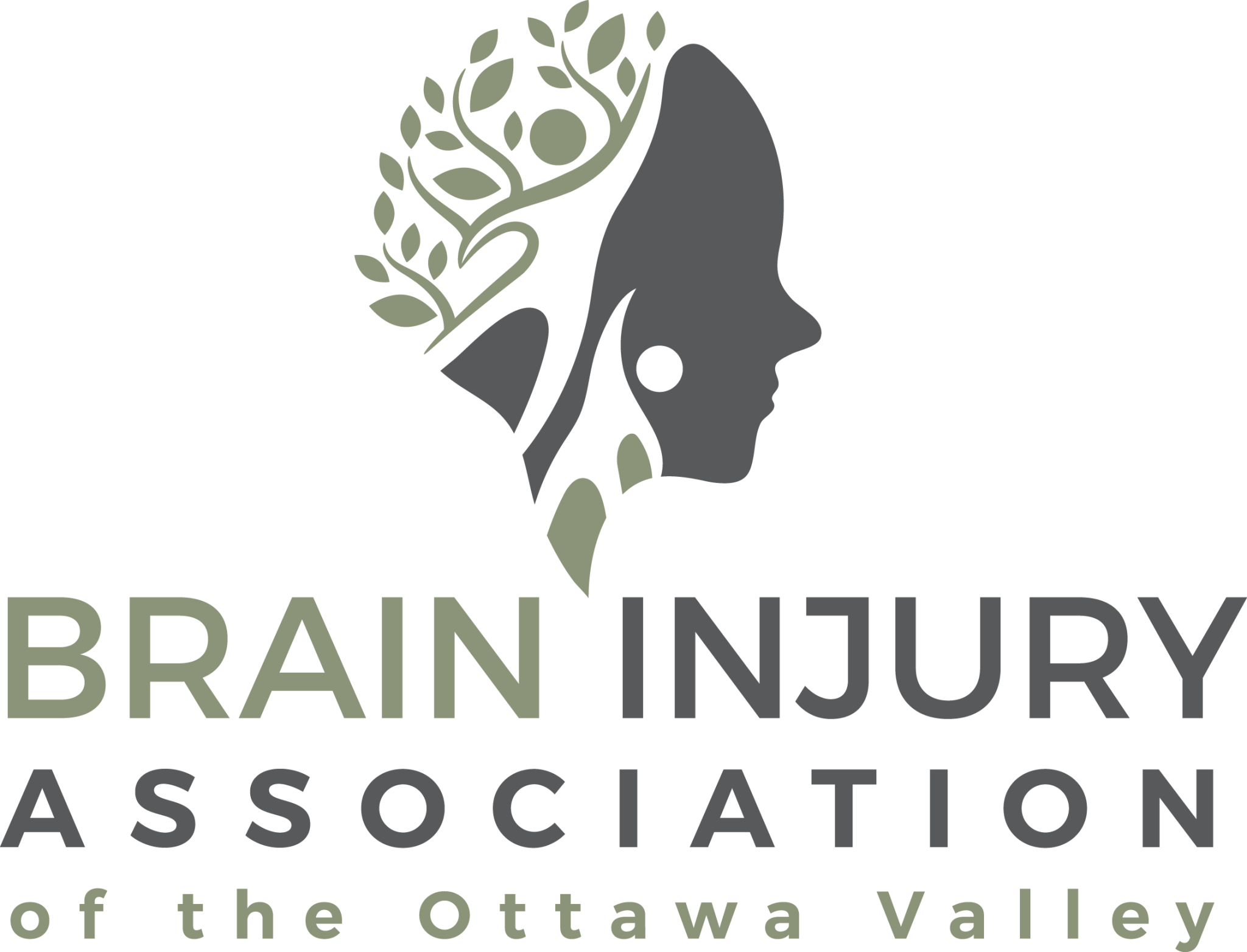 brain-injury-association-of-the-ottawa-valley-brain-injury-canada-connect